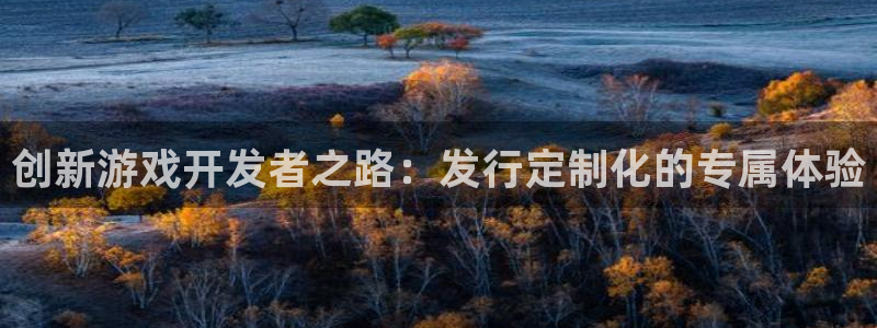 杏耀品牌：创新游戏开发者之路：发行定制化的专属体验