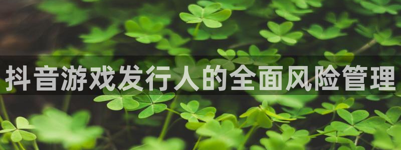 杏耀官网登录注册账号：抖音游戏发行人的全面风险管理