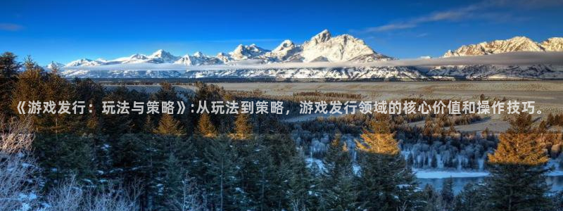杏耀子招聘