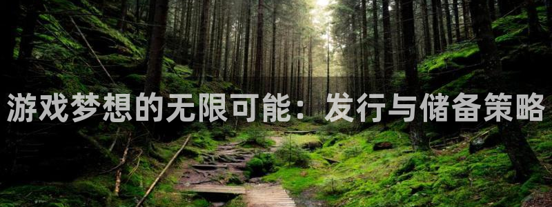 lvnces杏耀衣服：游戏梦想的无限可能：发行与储备策略