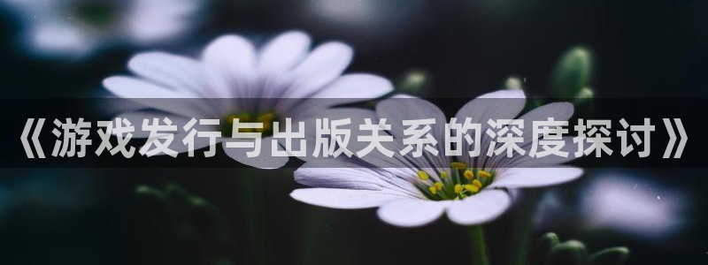 杏耀logo片头米高梅狮子