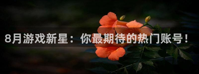 杏耀官网平台代理开号流程：8月游戏新星：你最期待的热门账号！