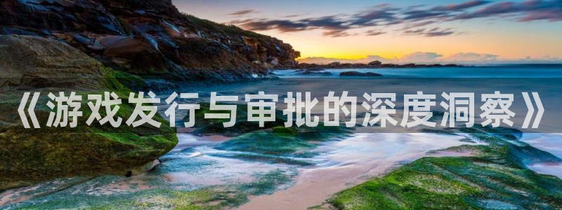 杏耀服装品牌怎么样：《游戏发行与审批的深度洞察》