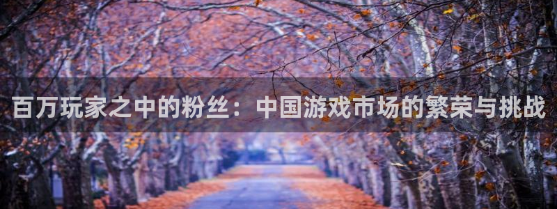 杏耀官网登录注册不了：百万玩家之中的粉丝：中国游戏市场的繁荣与挑战