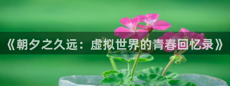 杏耀子赚话费：《朝夕之久远：虚拟世界的青春回忆录》