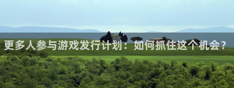 杏耀子图书：更多人参与游戏发行计划：如何抓住这个机会？