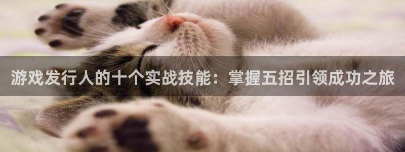 杏耀平台登录入口官网：游戏发行人的十个实战技能：掌握五招引领成功之旅