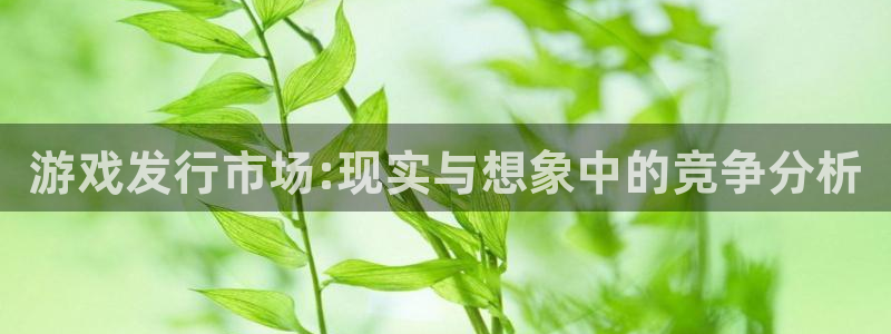 杏耀子怎么样：游戏发行市场:现实与想象中的竞争分析